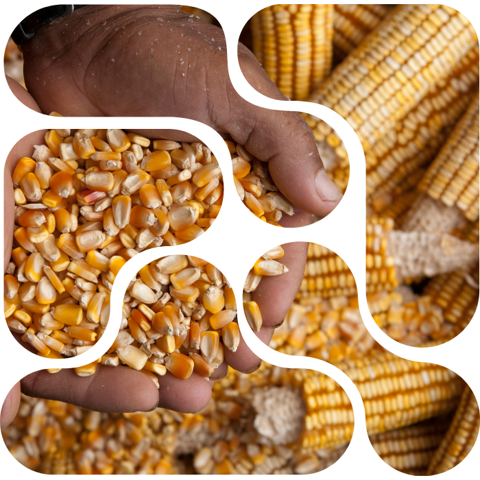 Global Trade and Logistics